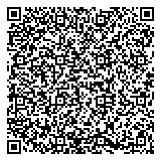 vCard 79920300271