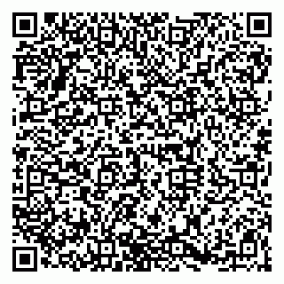 vCard 79920300272