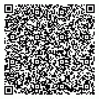 vCard 79920300273