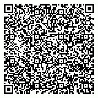 vCard 79920300294