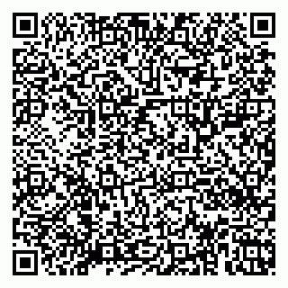vCard 79920300295