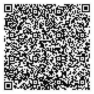 vCard 79920300314