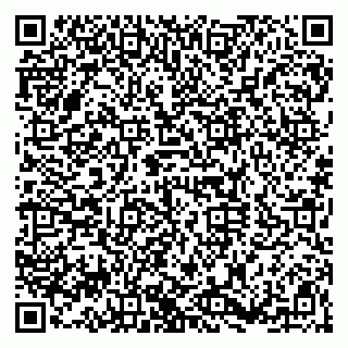 vCard 79920300332