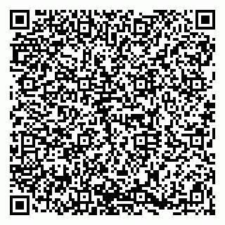 vCard 79920300370