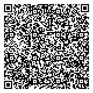 vCard 79920300376