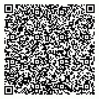 vCard 79920300382
