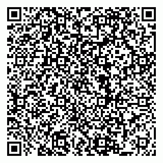 vCard 79920302001