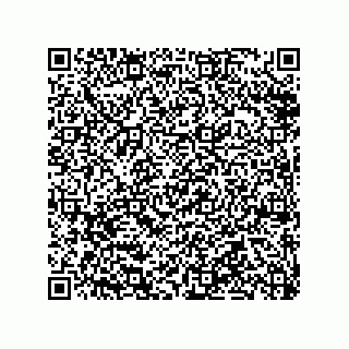 vCard 79920305508