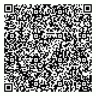 vCard 79922460803