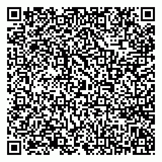 vCard 79922461037