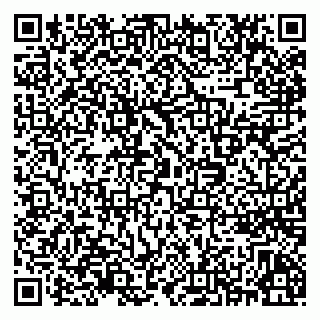vCard 79922461111