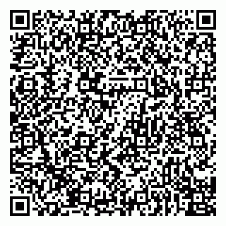 vCard 79922461173