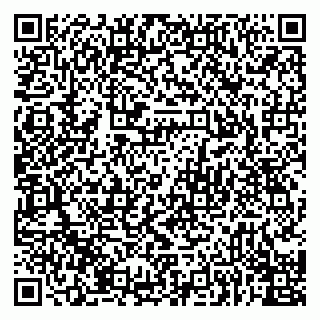 vCard 79922461181