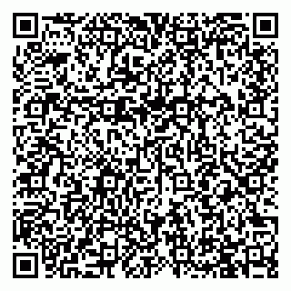 vCard 79923004013