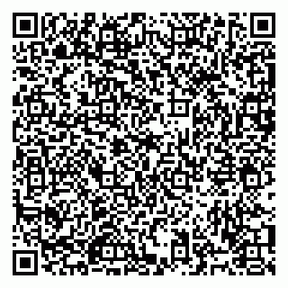 vCard 79923065313