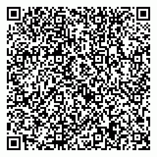 vCard 79923439311