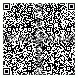 vCard 79923440529