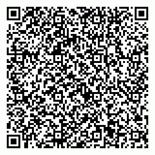 vCard 79923441319