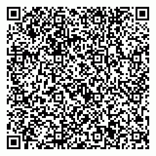 vCard 79923441321