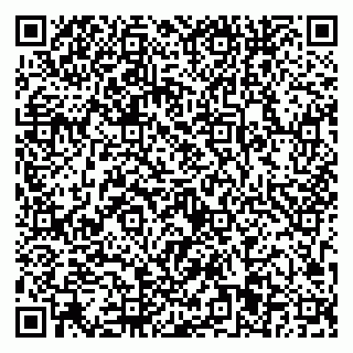vCard 79923441339