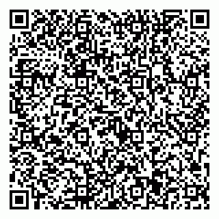 vCard 79923441381