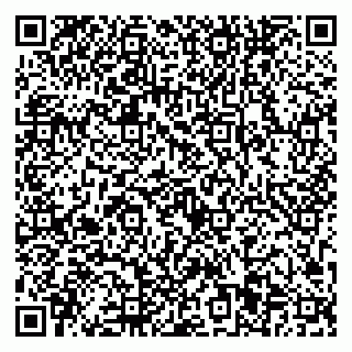 vCard 79923441529