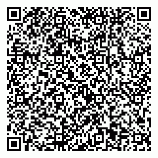 vCard 79923441539