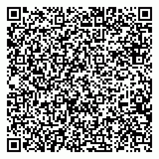 vCard 79924000381