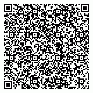 vCard 79924049987