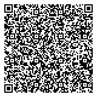 vCard 79924068417
