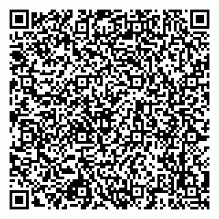 vCard 79925058733