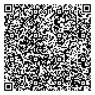 vCard 79925065313