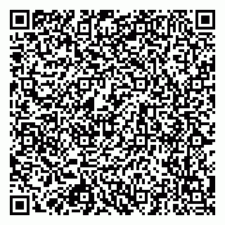 vCard 79925065413