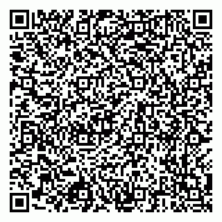 vCard 79925100132