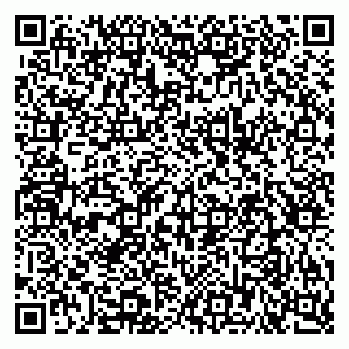 vCard 79925100173