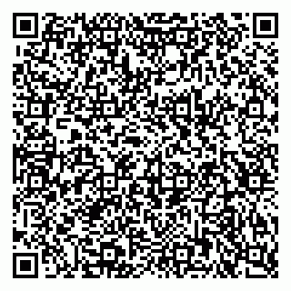 vCard 79925100217