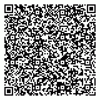 vCard 79925100299