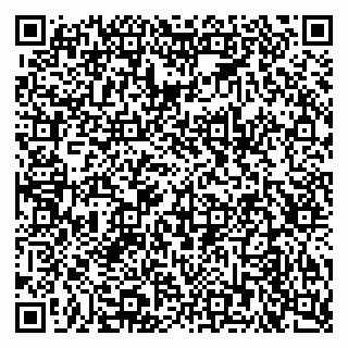 vCard 79925100335