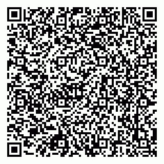 vCard 79925100339