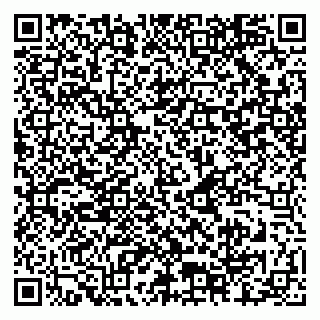 vCard 79925100378