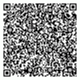 vCard 79925100379