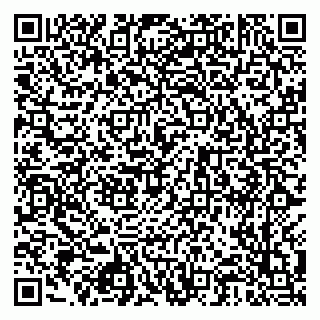 vCard 79925100380