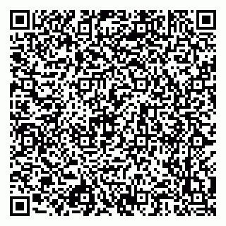 vCard 79925100381