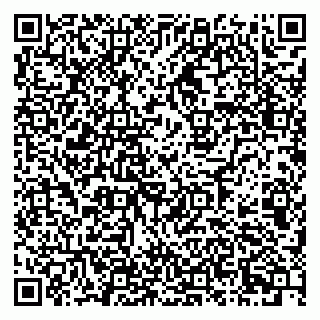 vCard 79925110631