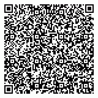 vCard 79950010251