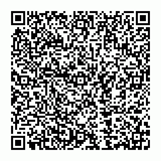vCard 73013521133