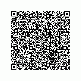 vCard 73412487822
