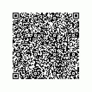 vCard 73412580333