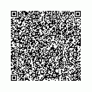 vCard 73413234281