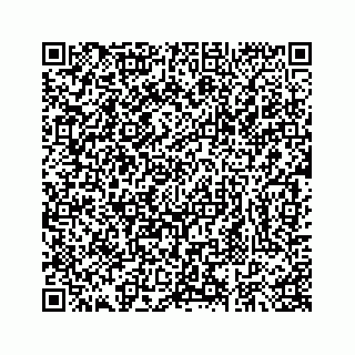 vCard 73413234287
